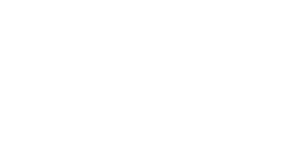 RODE Security & Investigations logo